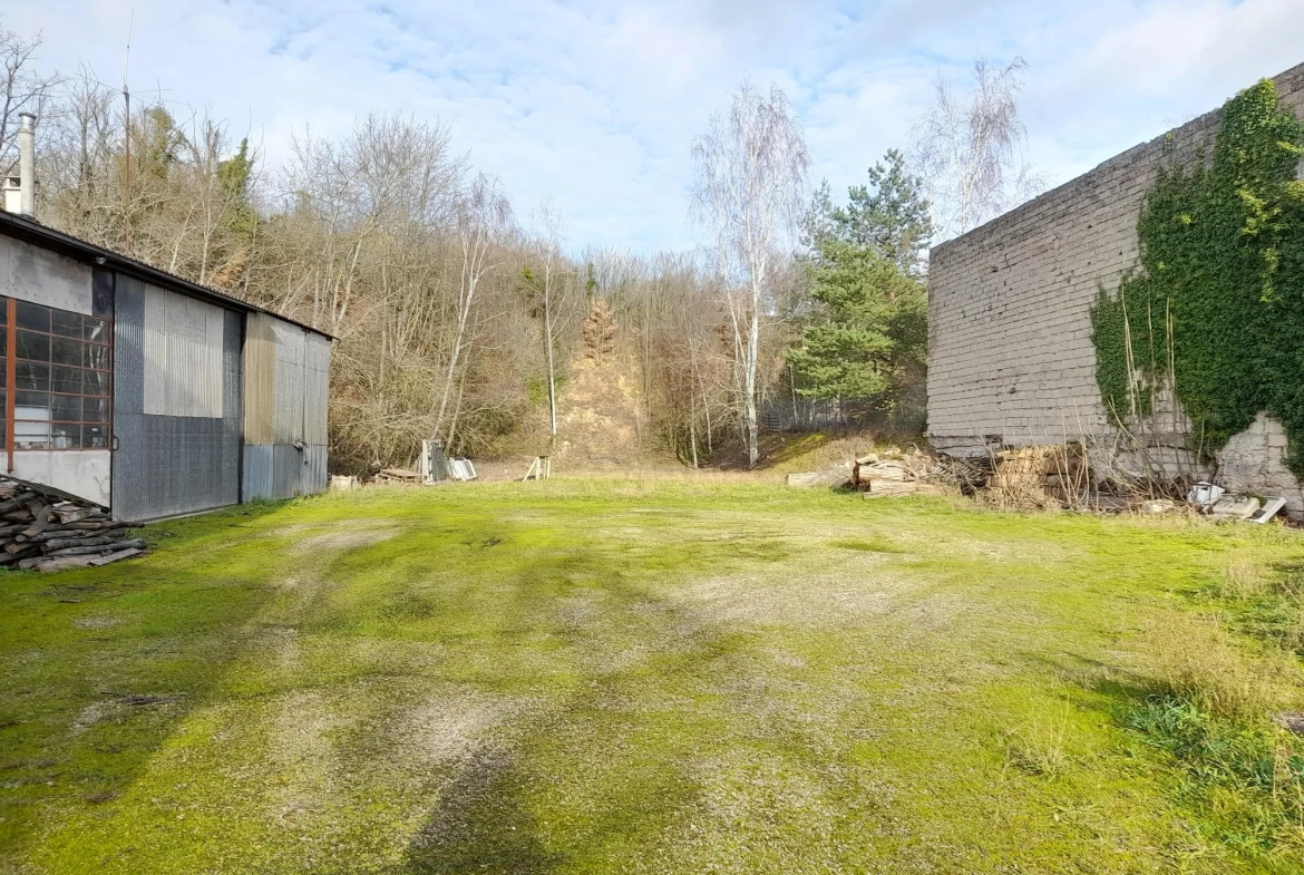 Hangar de 300 m2 et maison de village à Villeneuve la Guyard 