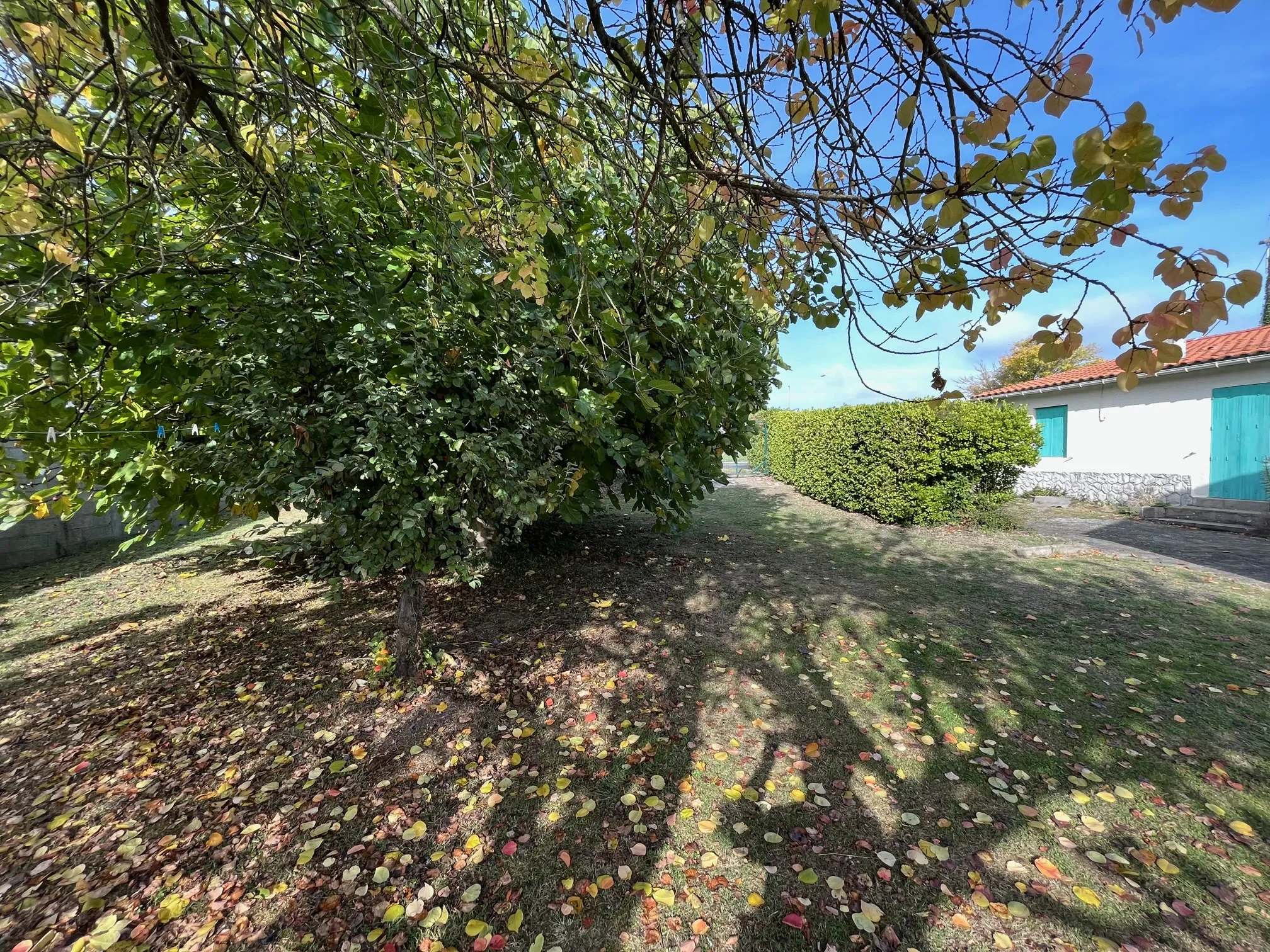 Maison à rénover, Meschers, Sud Royan 