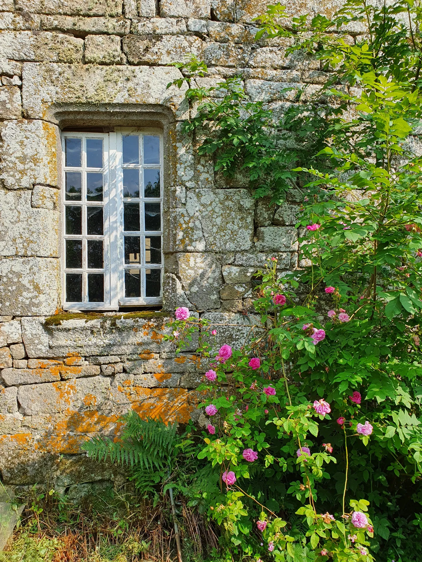 Ancienne maison et ses dépendances à rénover en Xaintrie 