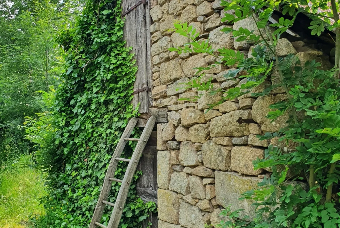 Ancienne maison et ses dépendances à rénover en Xaintrie 