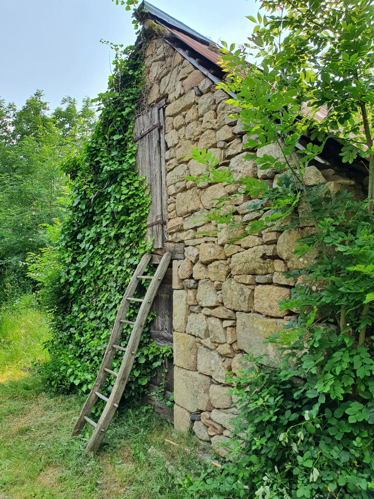 Ancienne maison et ses dépendances à rénover en Xaintrie 