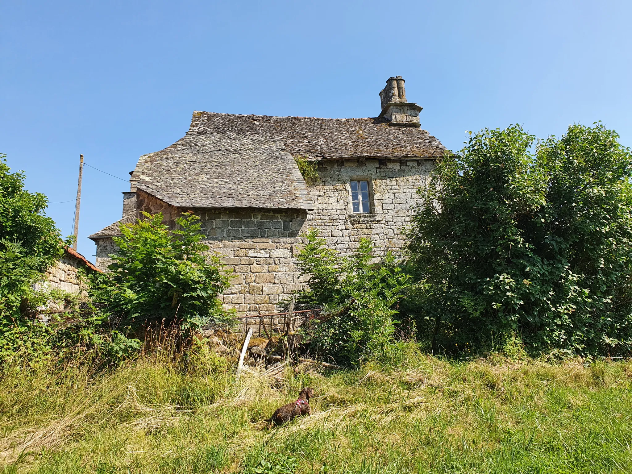 Ancienne maison et ses dépendances à rénover en Xaintrie 