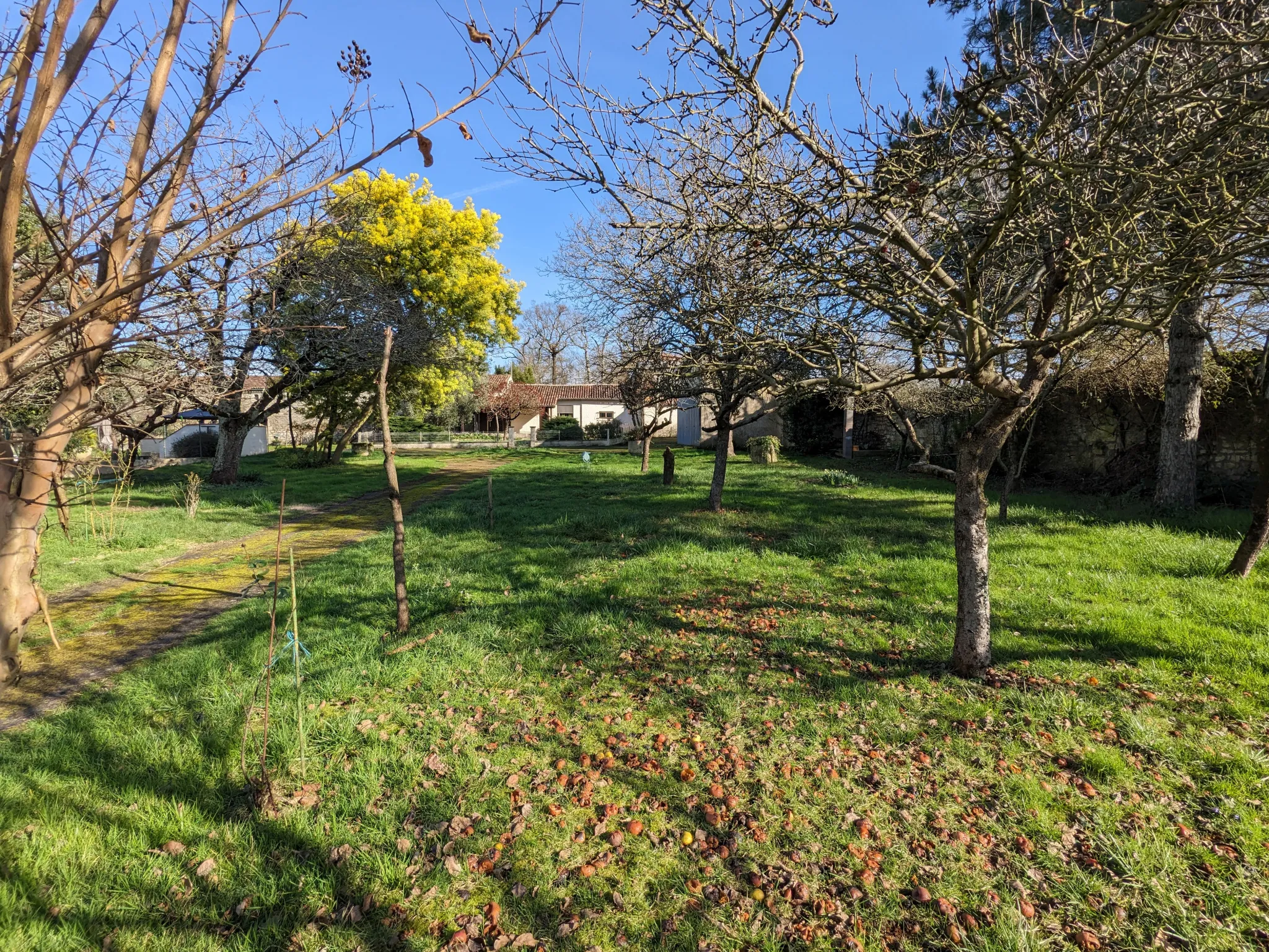 Maison Ancienne 98 m2 avec Terrain à Saintes 