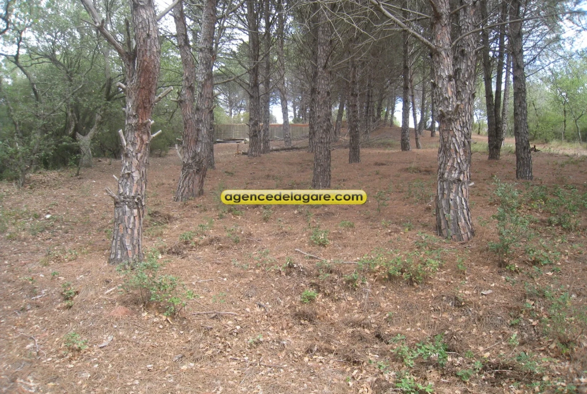 Terrain agricole ou de loisirs à Argeles sur mer 