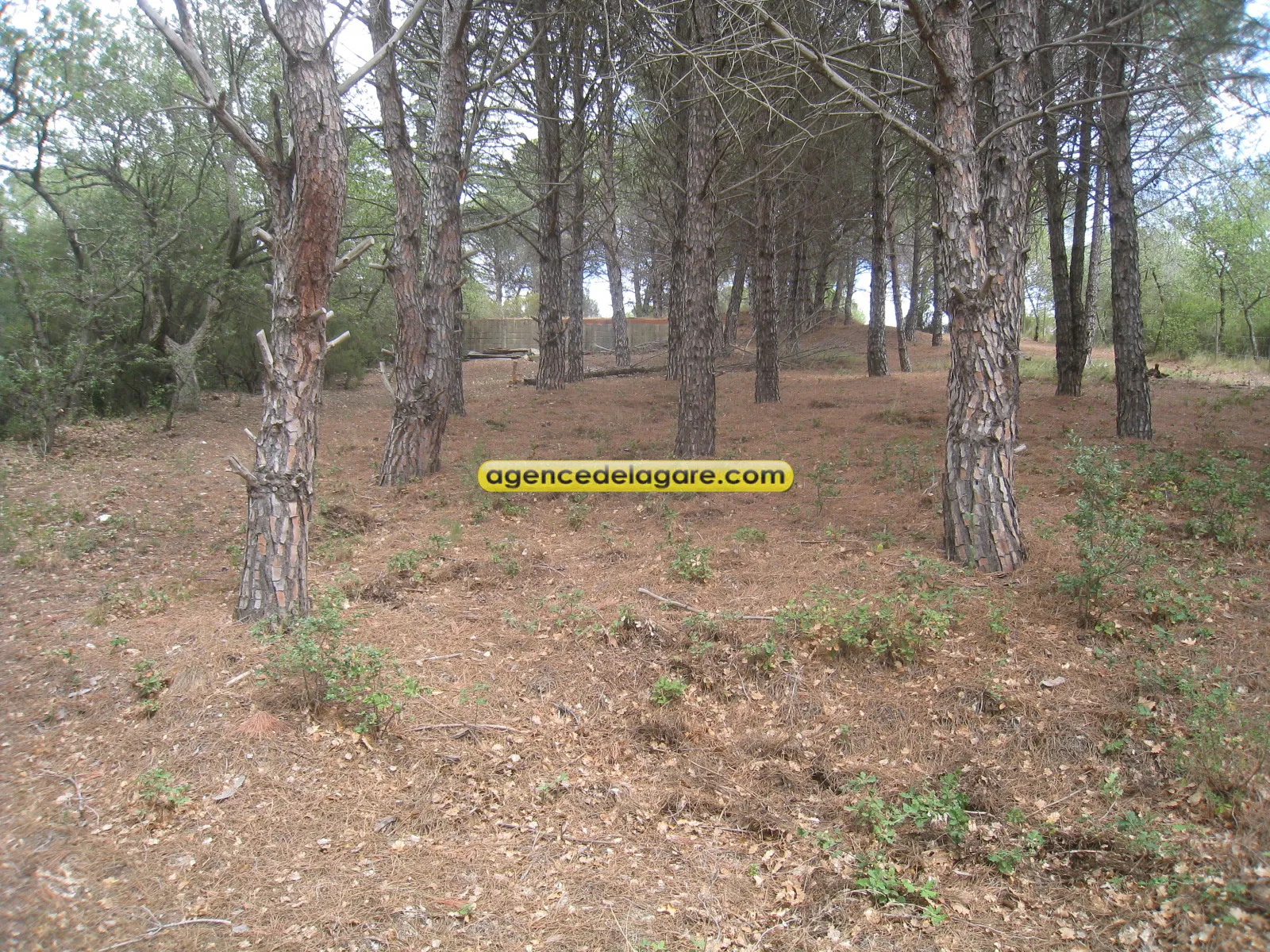 Terrain agricole ou de loisirs à Argeles sur mer 