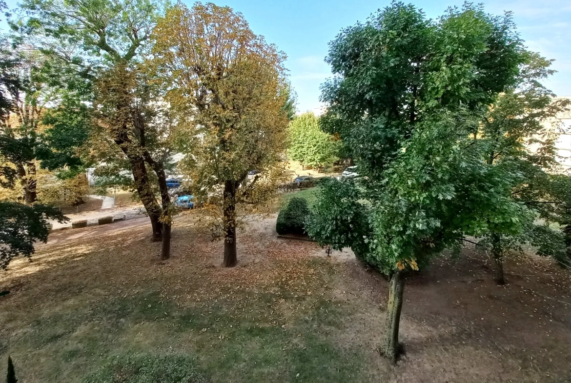 Appartement à vendre à Créteil village/église - rue du Docteur Plichon 