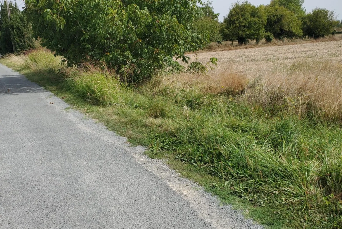 Terrain à bâtir sud Royan Meschers 