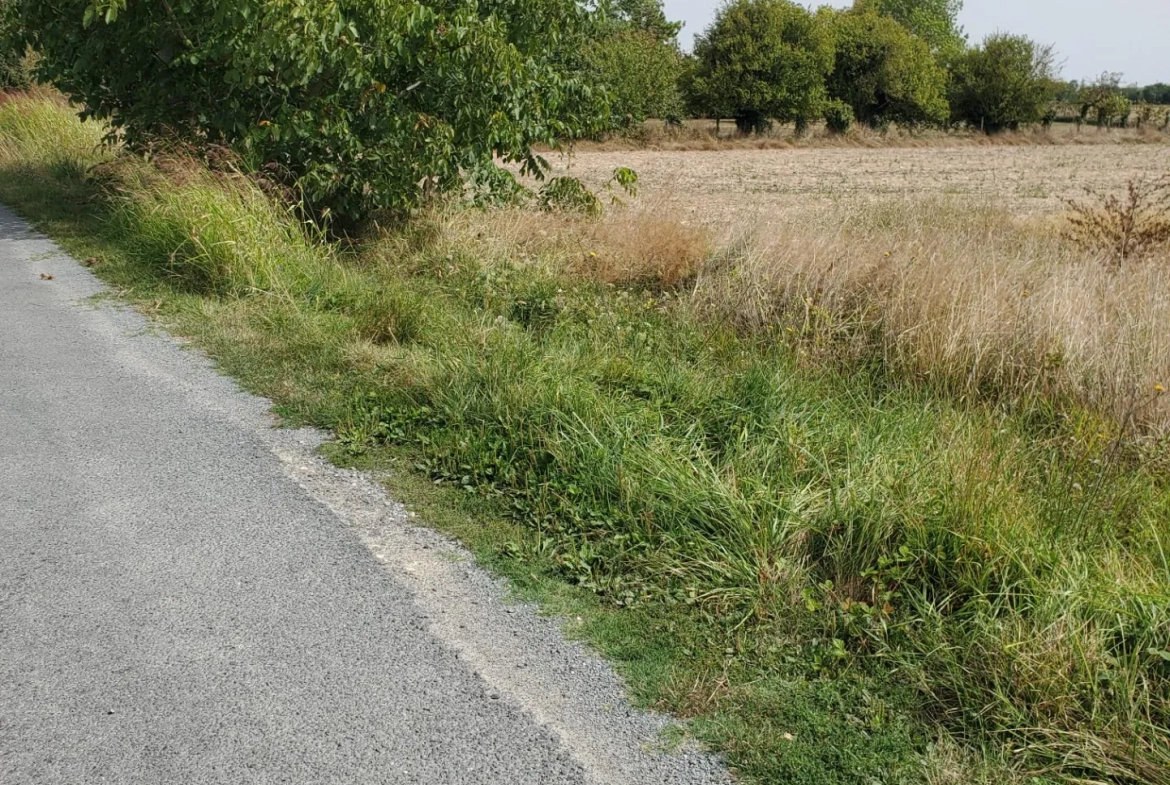 Terrain à bâtir sud Royan Meschers 