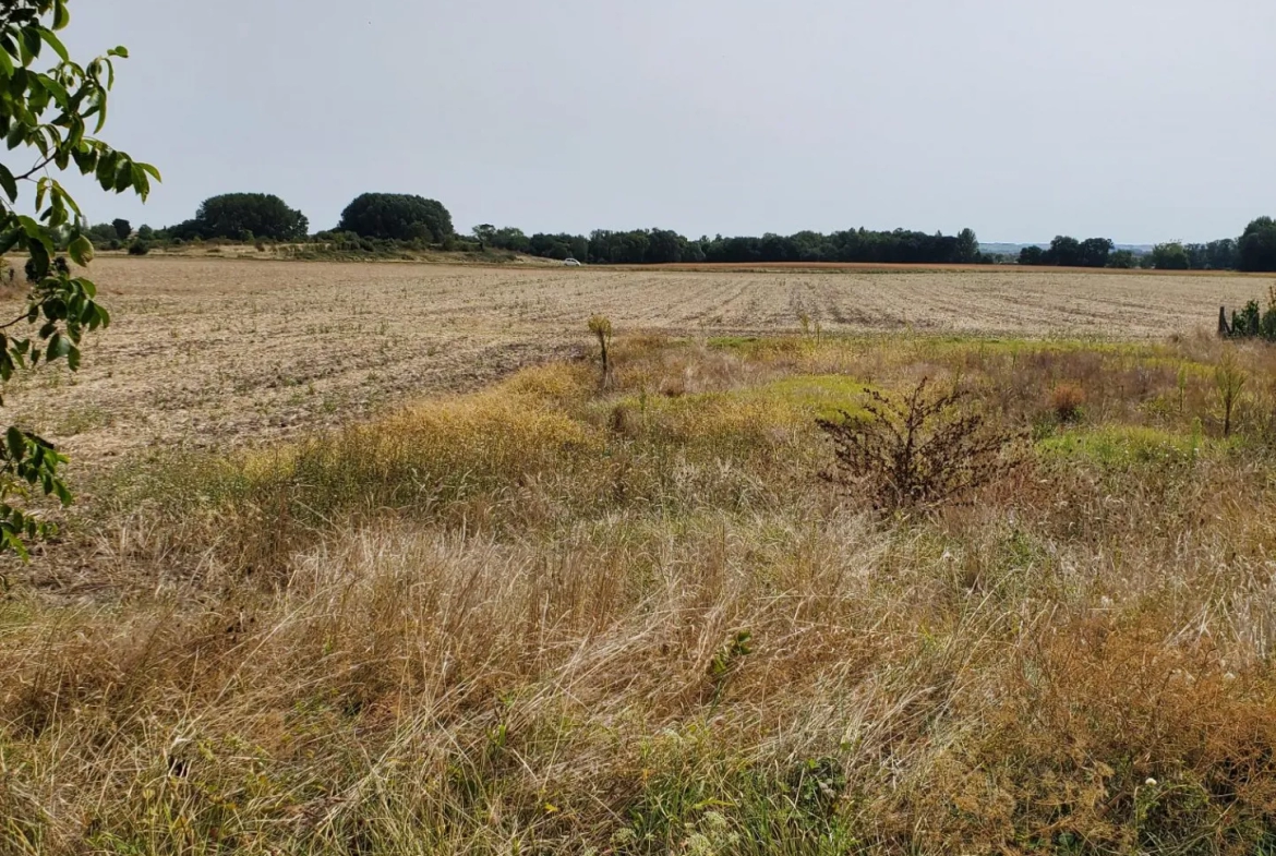 Terrain à bâtir sud Royan Meschers 