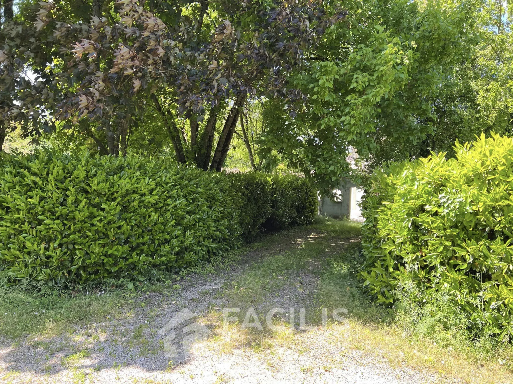 Maison à rénover à Angoulême - Jardin 