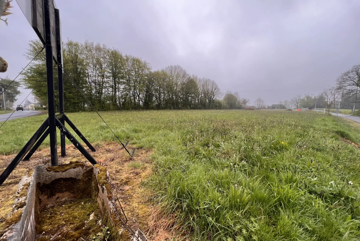 Terrain viabilisé sur le Tourneur 