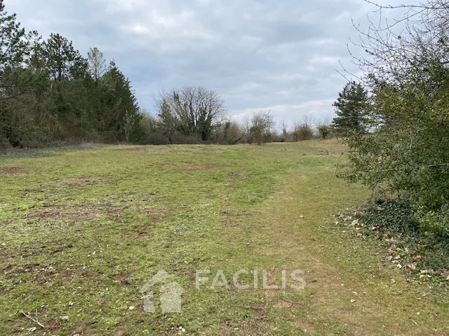 Terrain constructible avec box à chevaux 