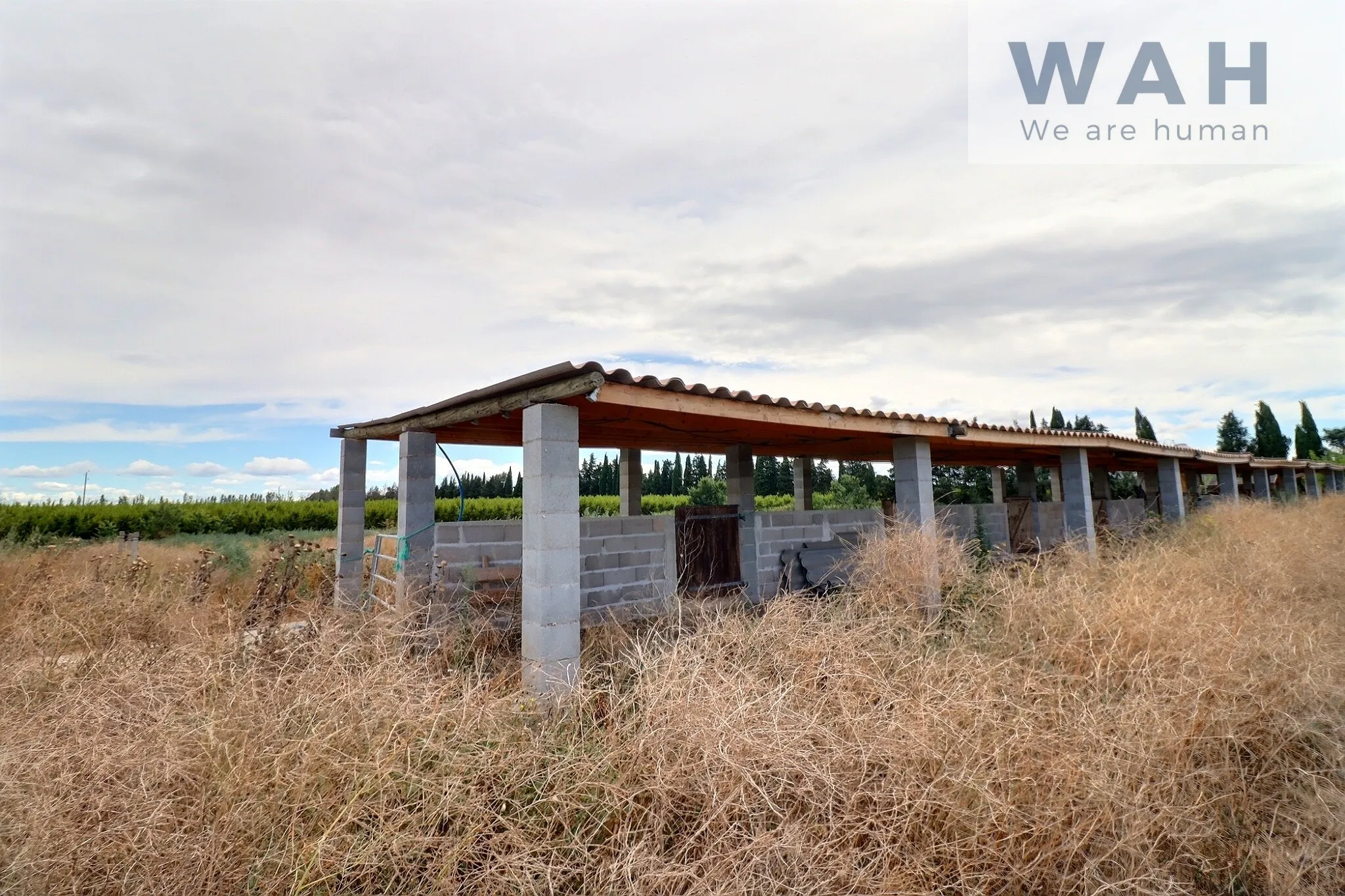 Terrain agricole de 2500m2 avec équipement pour chevaux - Aubord (30620) 