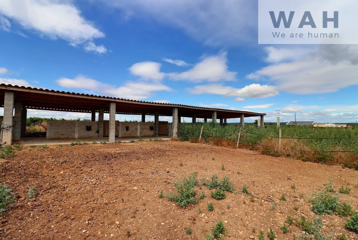 Terrain agricole de 2500m2 avec équipement pour chevaux - Aubord (30620) 