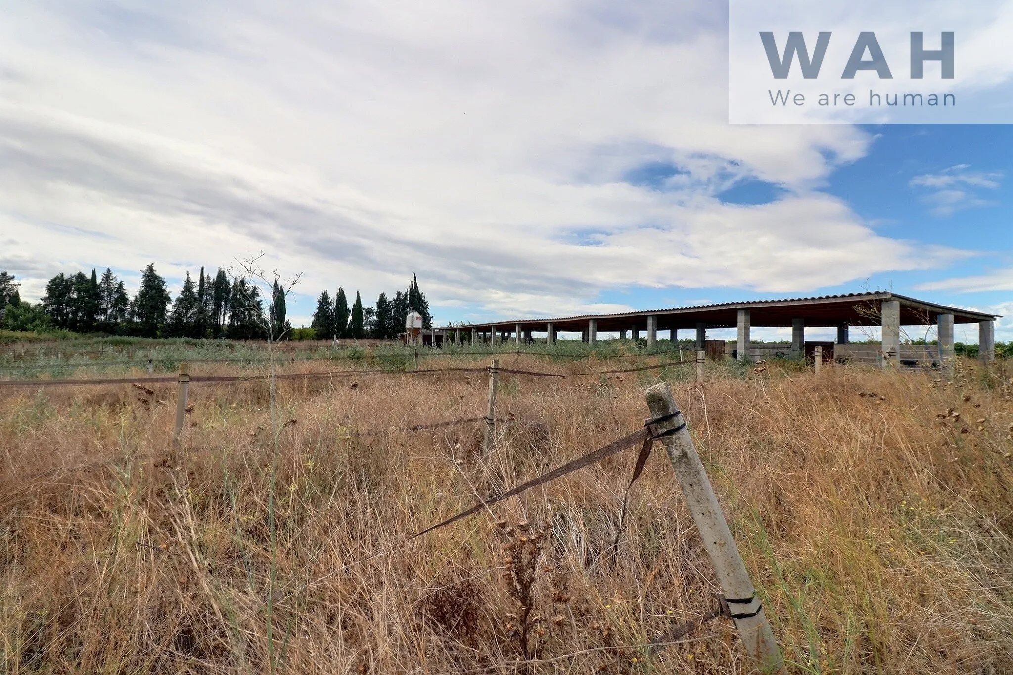 Terrain agricole de 2500m2 avec équipement pour chevaux - Aubord (30620) 