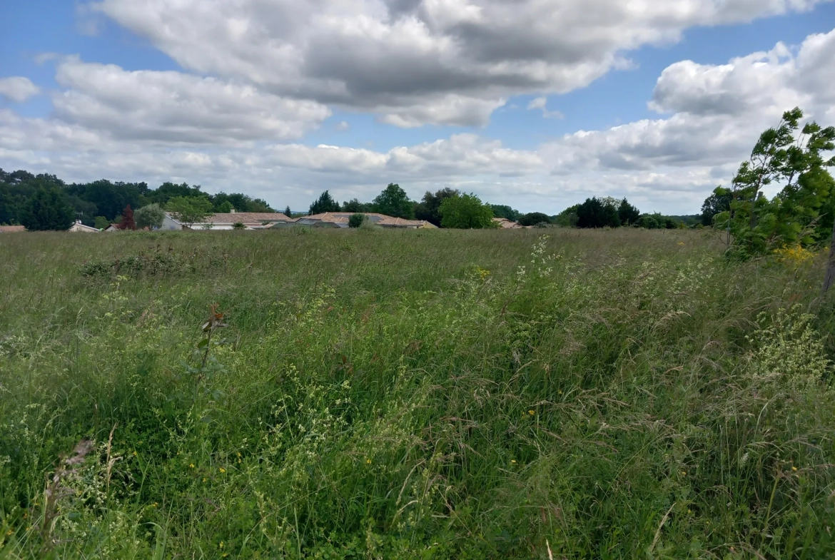 Terrain à bâtir à Auros (10 kms de Langon) 