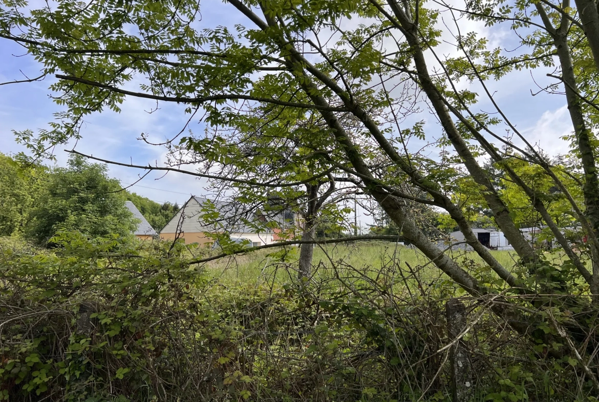 Terrain de loisir à Saint-Martin-des-besaces 