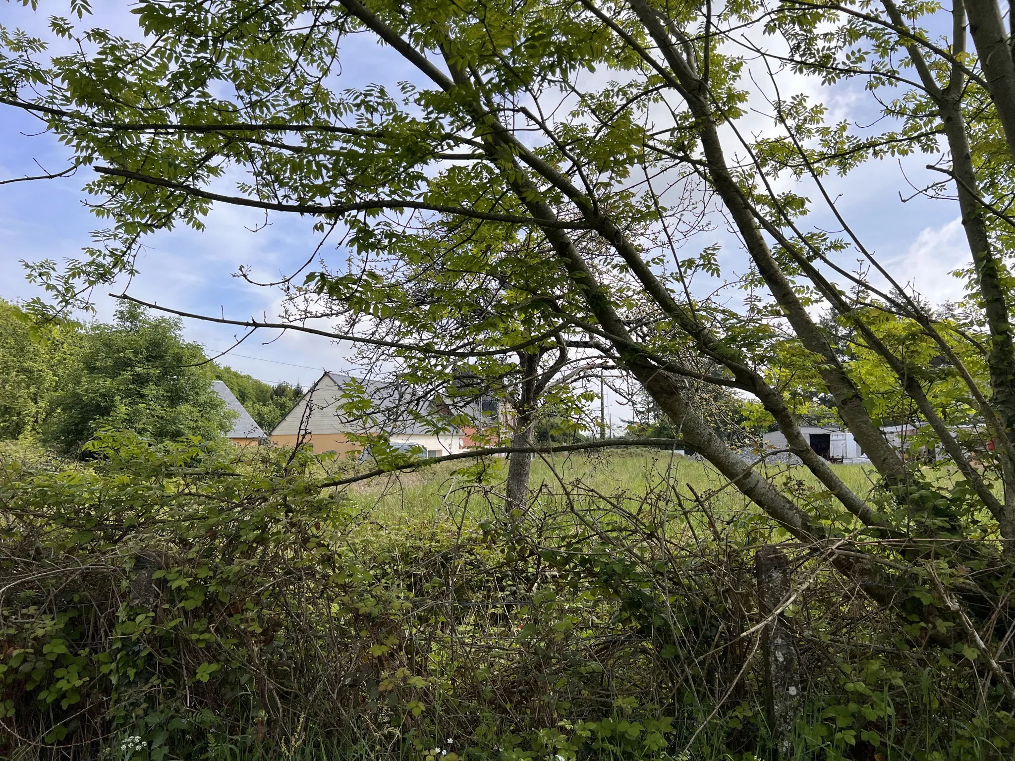 Terrain de loisir à Saint-Martin-des-besaces 