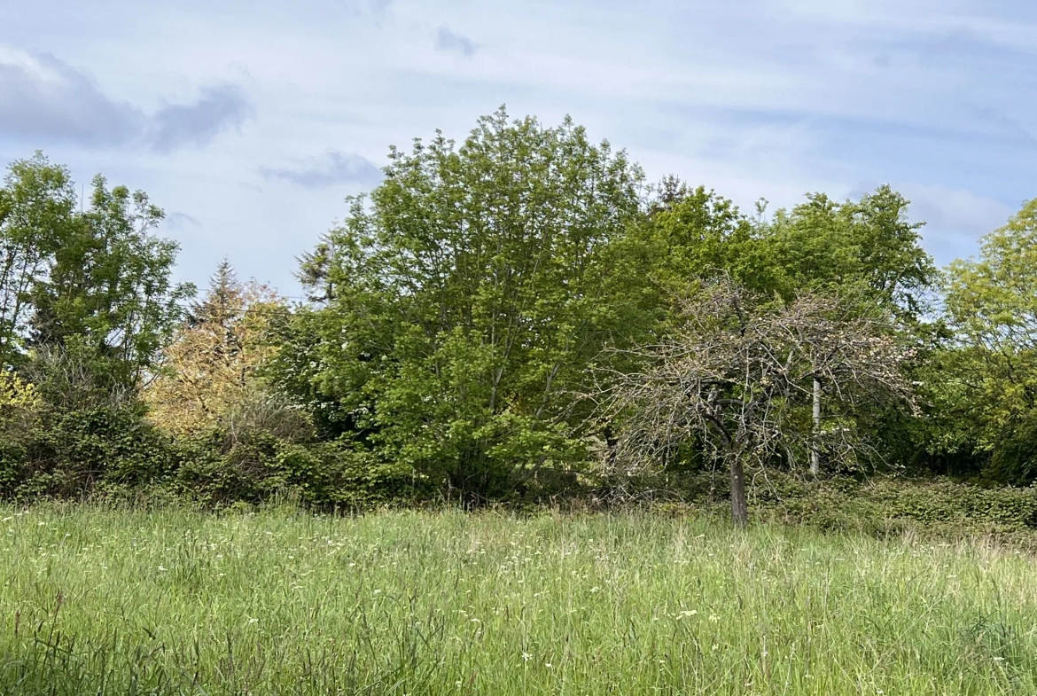 Terrain de loisir à Saint-Martin-des-besaces 