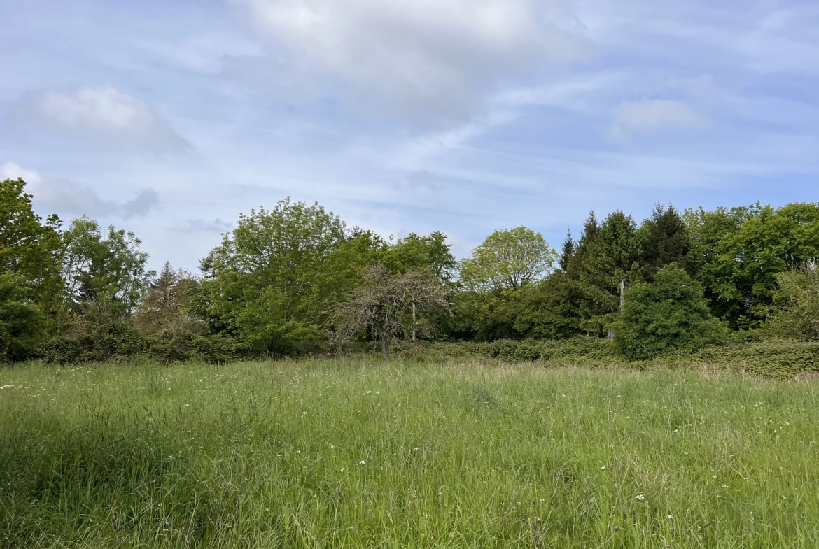 Terrain de loisir à Saint-Martin-des-besaces 