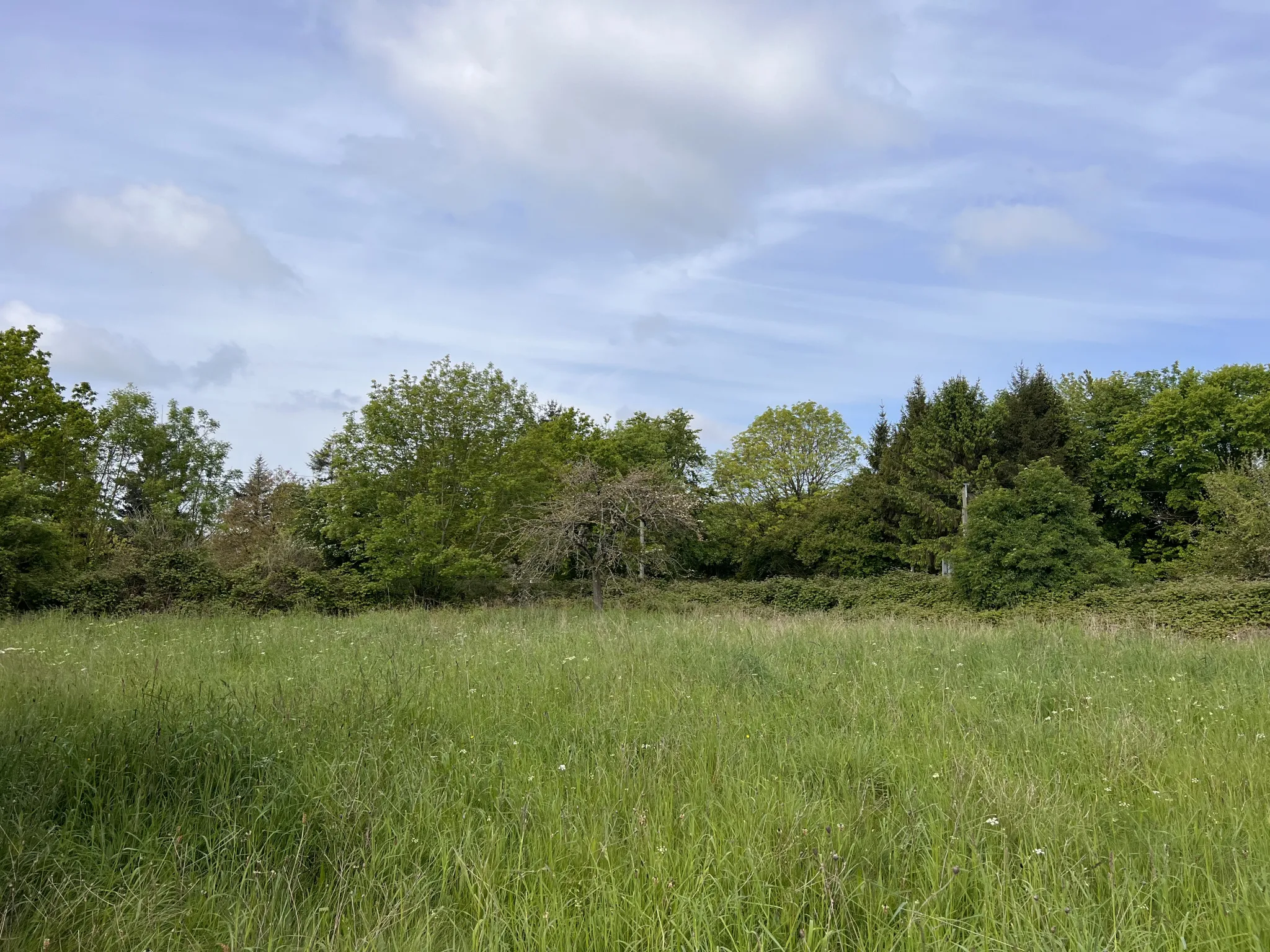 Terrain de loisir à Saint-Martin-des-besaces 