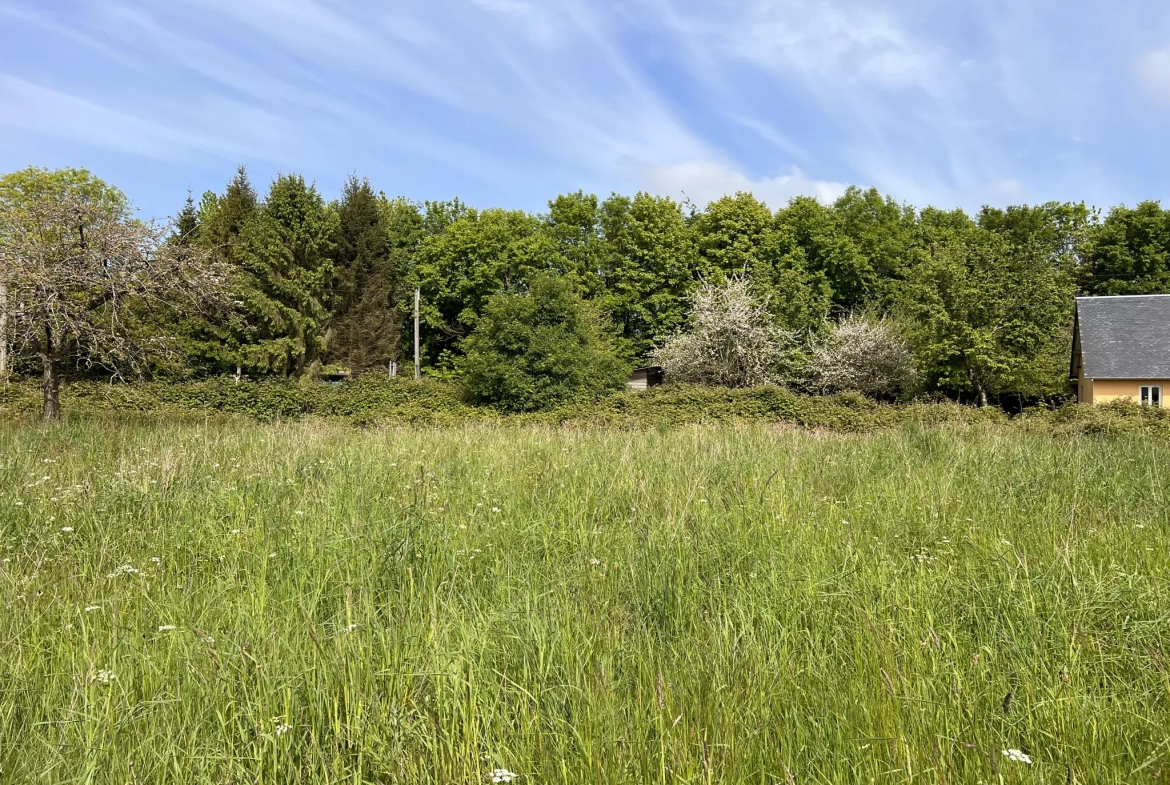 Terrain de loisir à Saint-Martin-des-besaces 