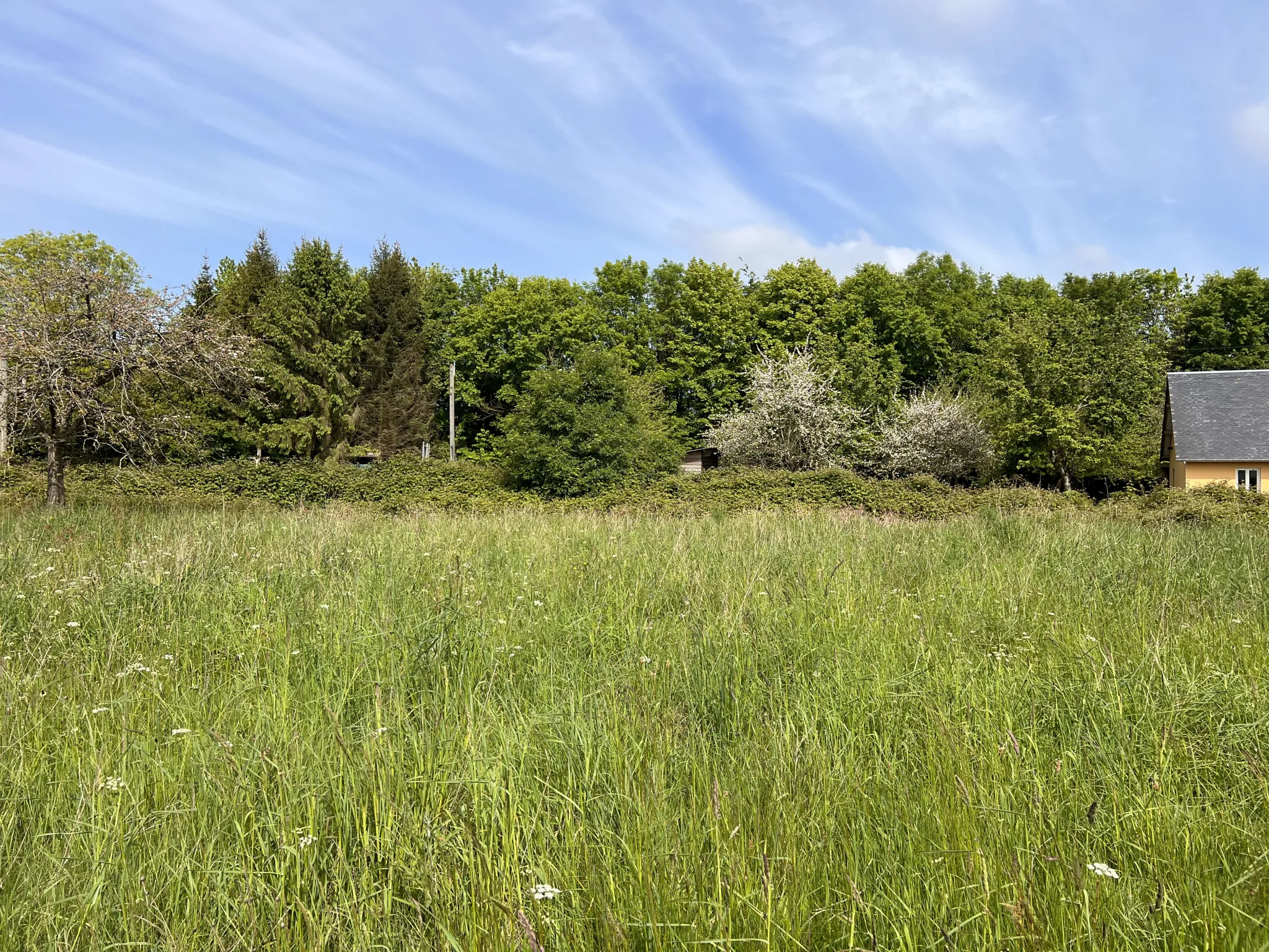 Terrain de loisir à Saint-Martin-des-besaces 