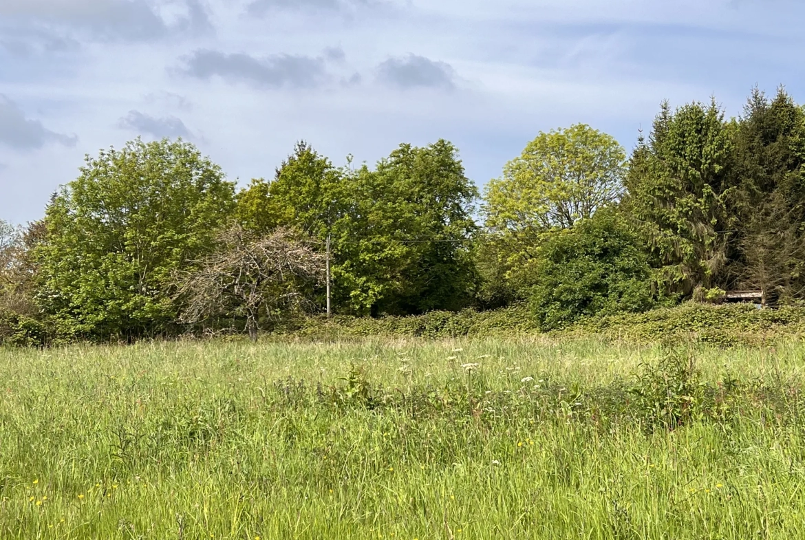 Terrain de loisir à Saint-Martin-des-besaces 