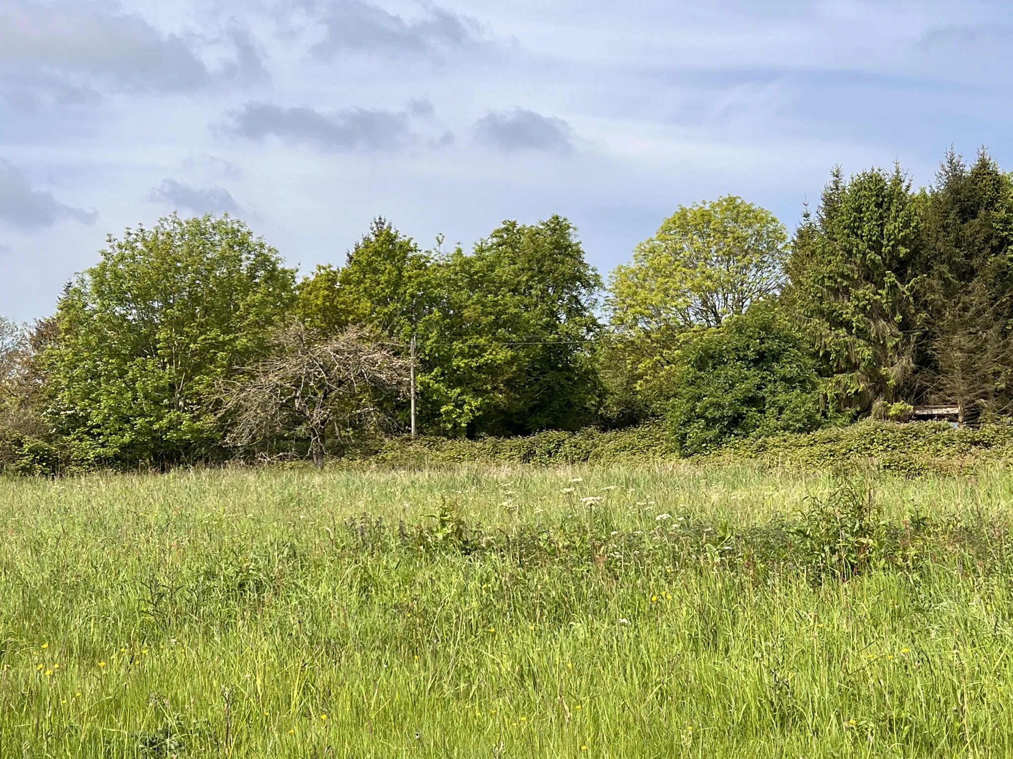 Terrain de loisir à Saint-Martin-des-besaces 