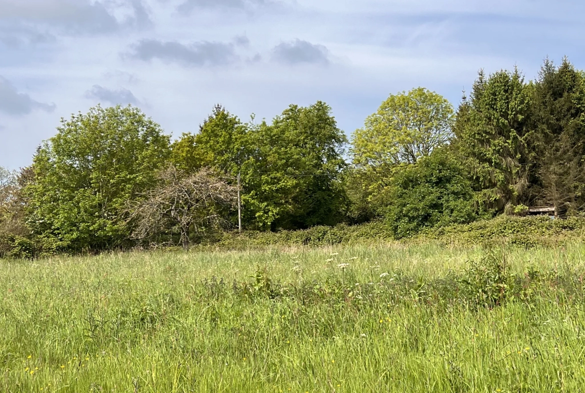 Terrain de loisir à Saint-Martin-des-besaces 