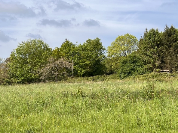 Terrain de loisir à Saint-Martin-des-besaces