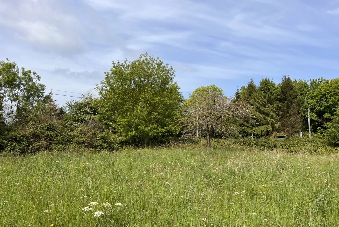 Terrain de loisir à Saint-Martin-des-besaces 