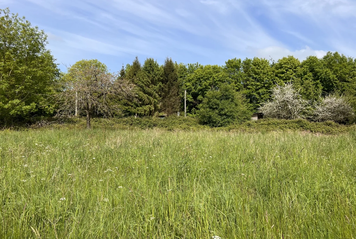 Terrain de loisir à Saint-Martin-des-besaces 