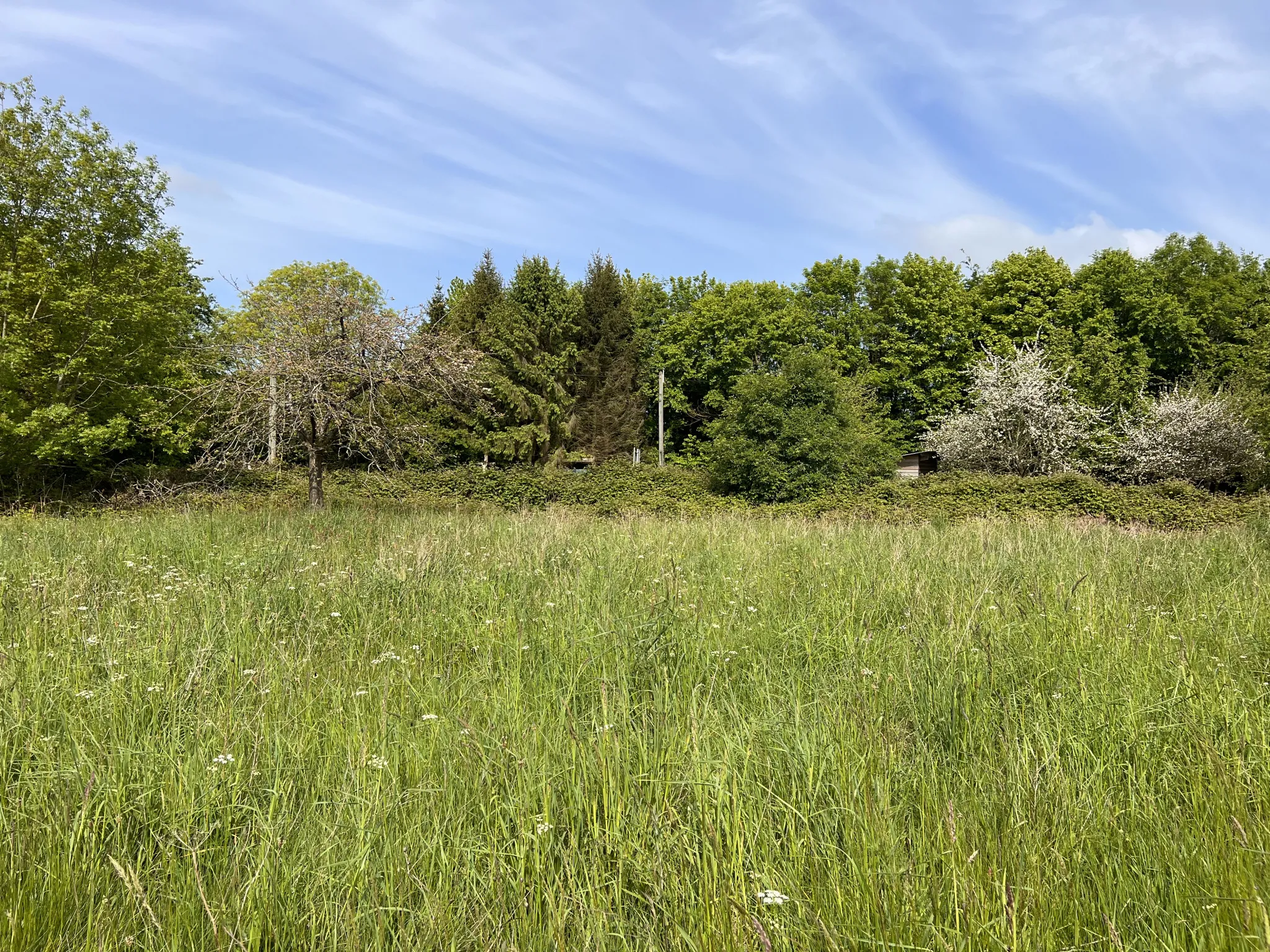 Terrain de loisir à Saint-Martin-des-besaces 