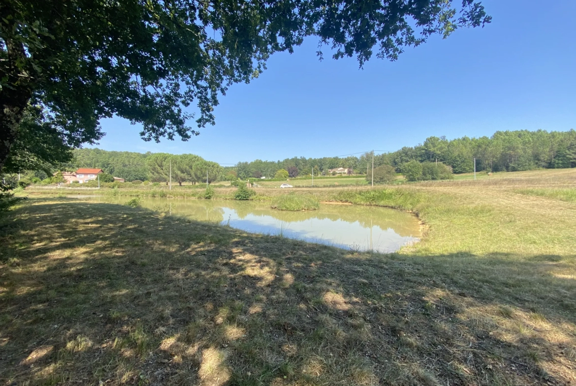 Terrain de loisirs avec lac à Fumel 