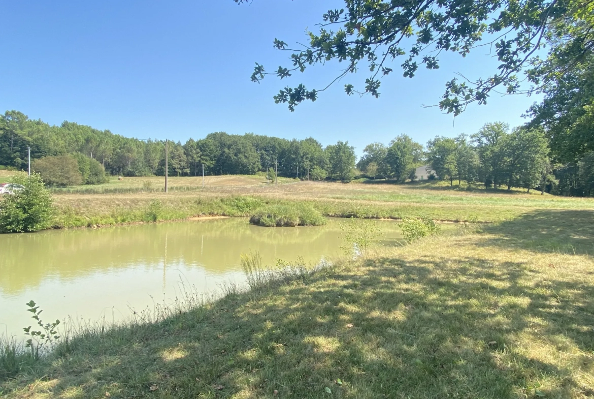 Terrain de loisirs avec lac à Fumel 