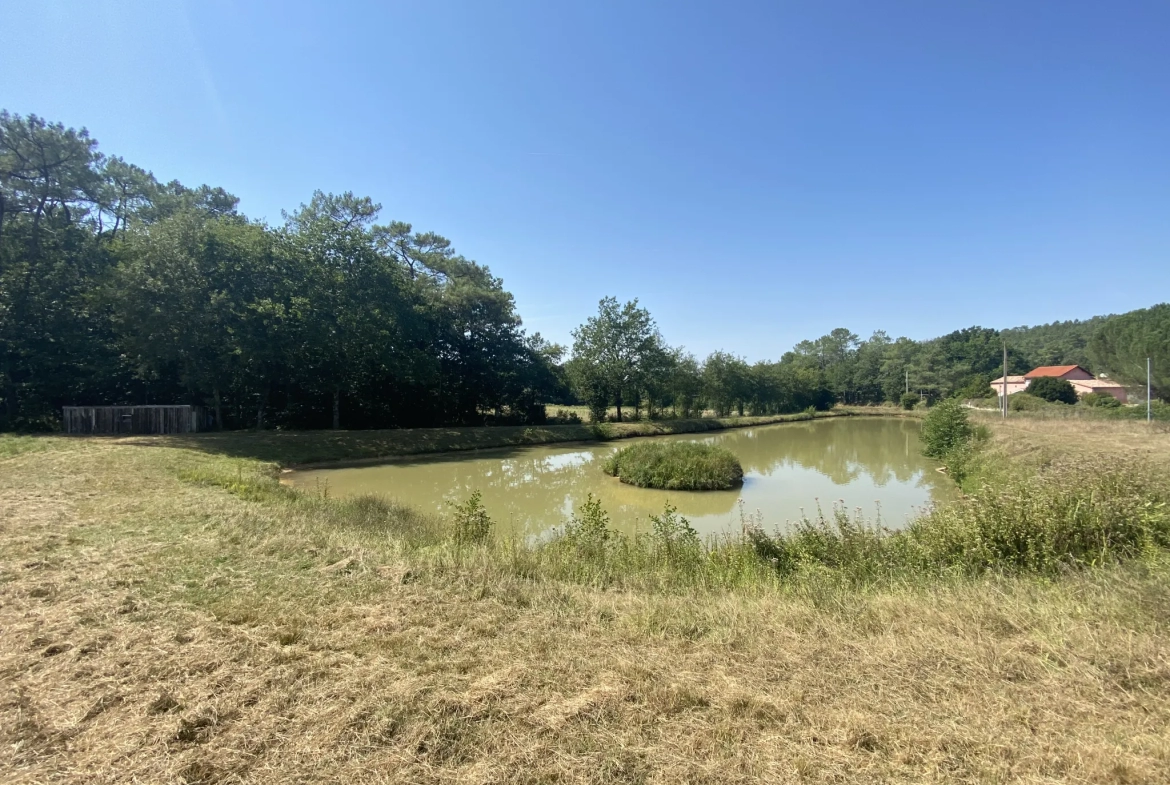 Terrain de loisirs avec lac à Fumel 