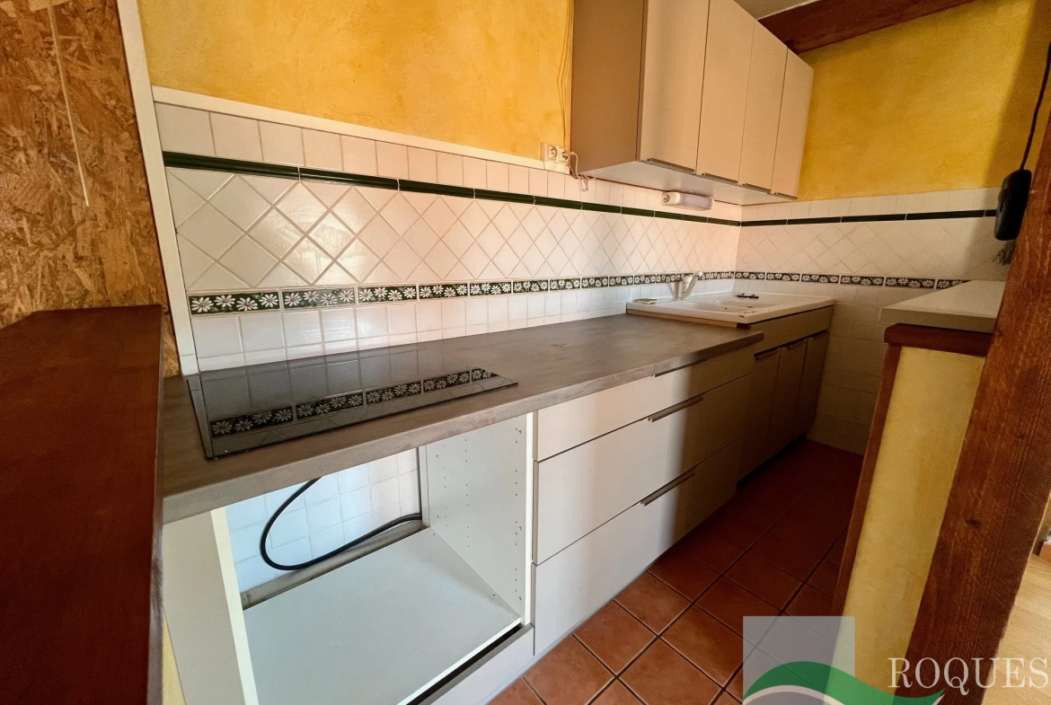 Appartement T2 Bis Lumineux à Millau 