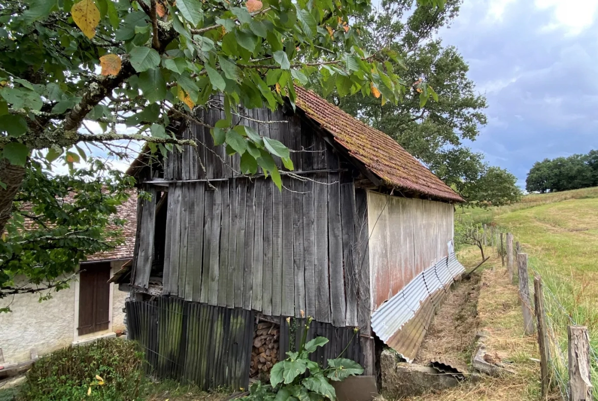 Ferme avec vue Pyrénées 2500 m2 de terrain 