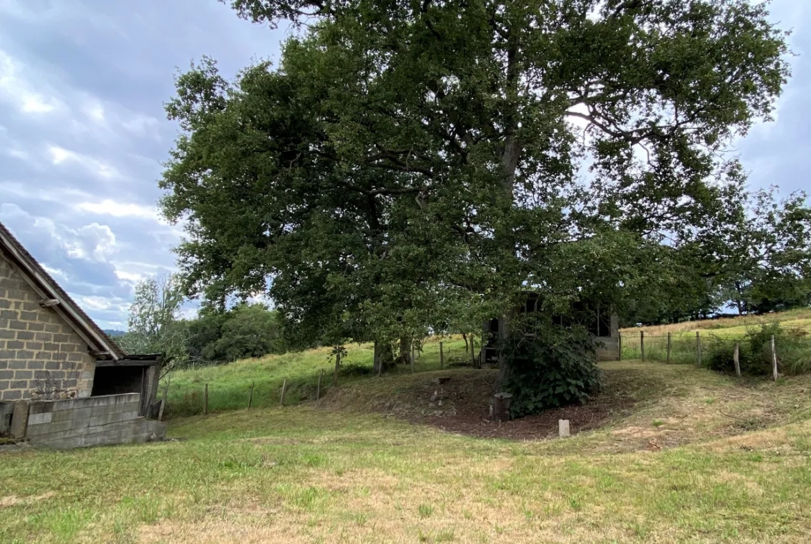 Ferme avec vue Pyrénées 2500 m2 de terrain 