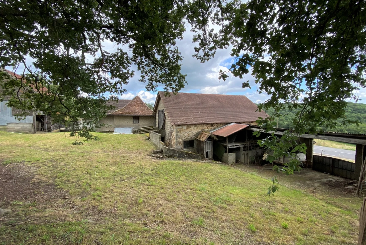 Ferme avec vue Pyrénées 2500 m2 de terrain 