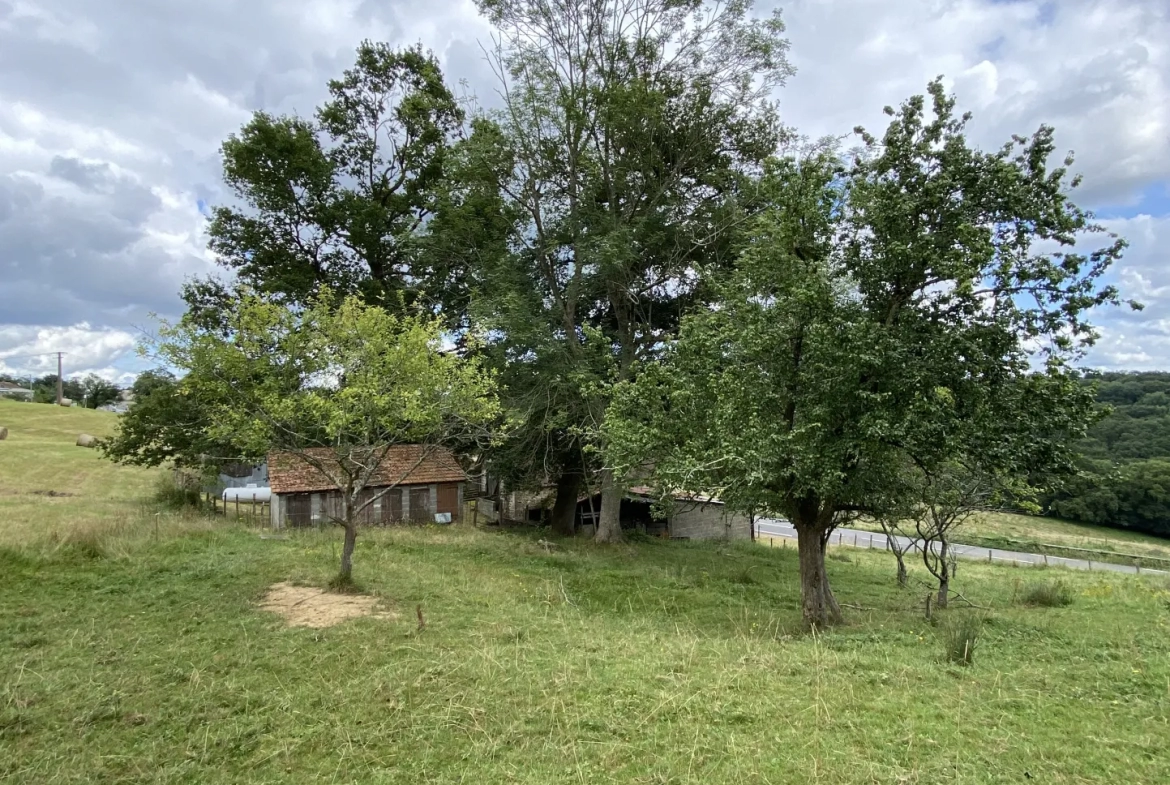 Ferme avec vue Pyrénées 2500 m2 de terrain 