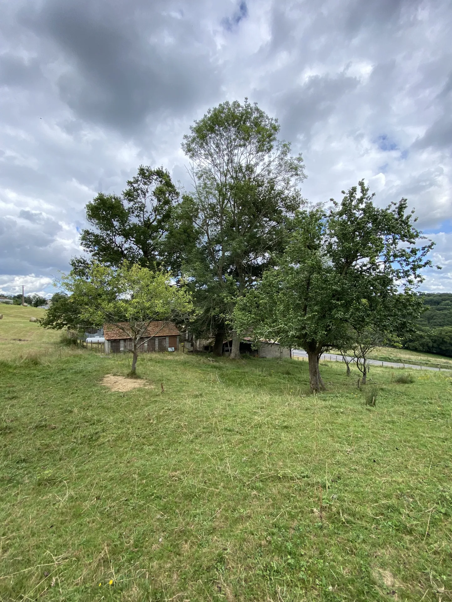 Ferme avec vue Pyrénées 2500 m2 de terrain 