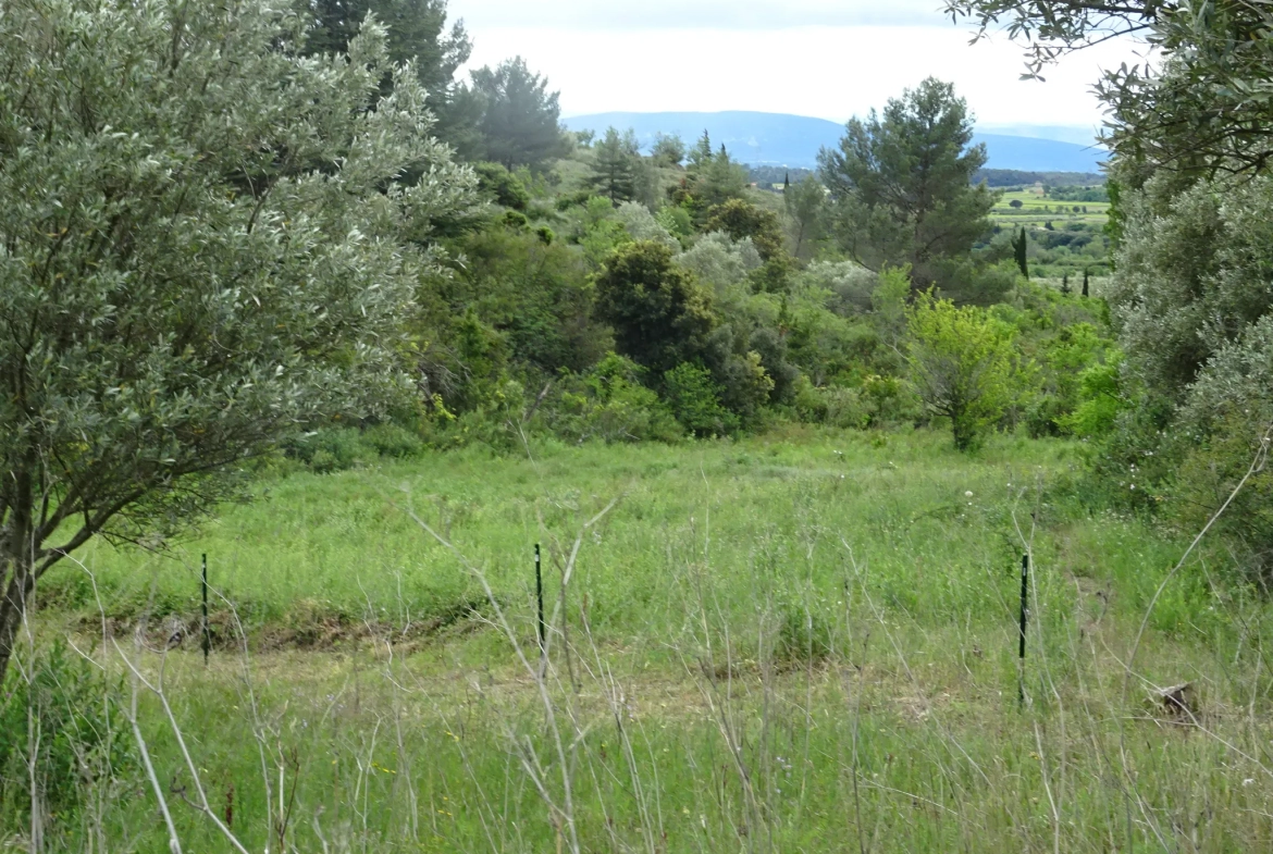 Beau terrain à vendre à Caunes Minervois 