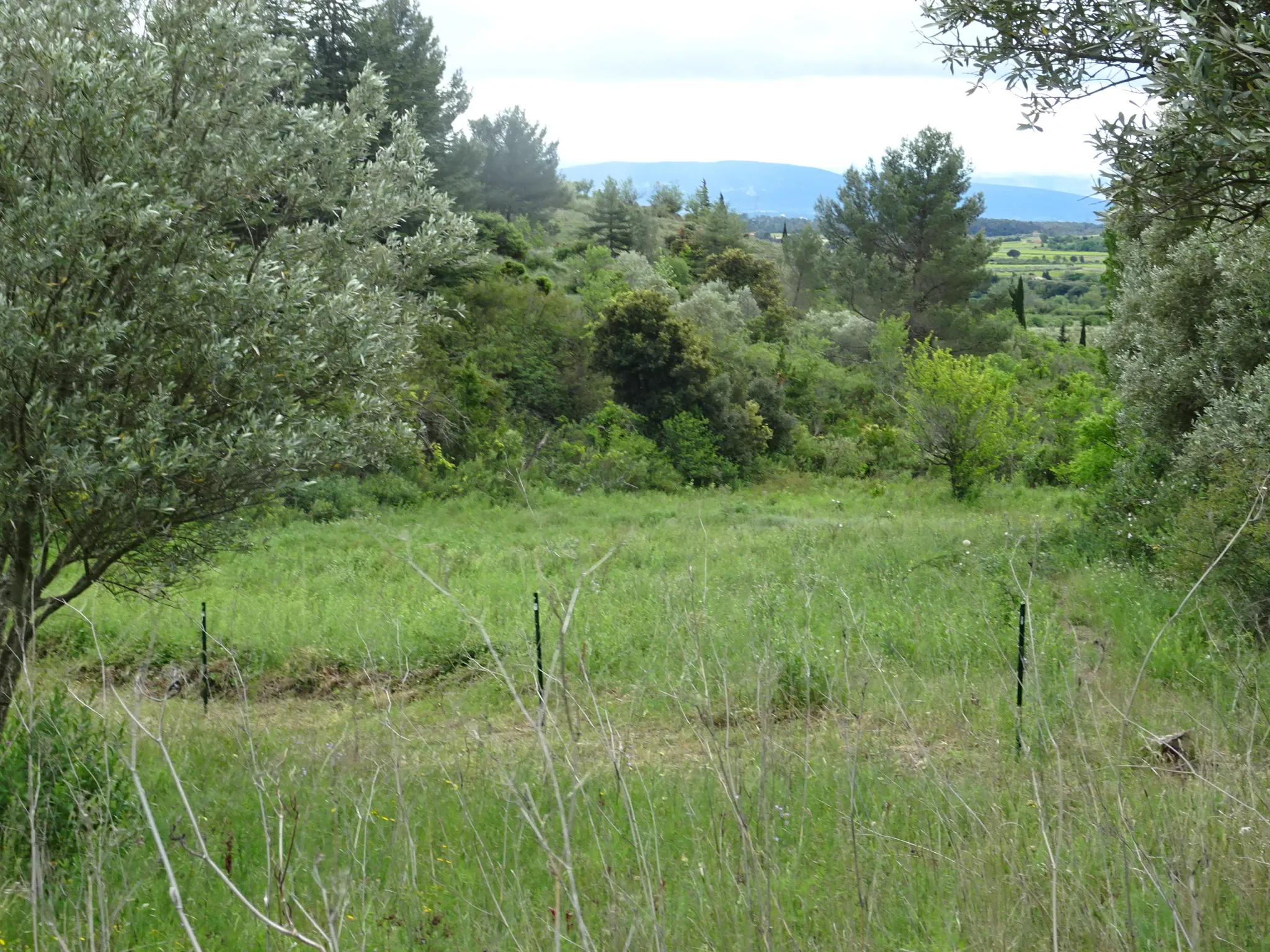 Beau terrain à vendre à Caunes Minervois 