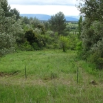 Beau terrain à vendre à Caunes Minervois