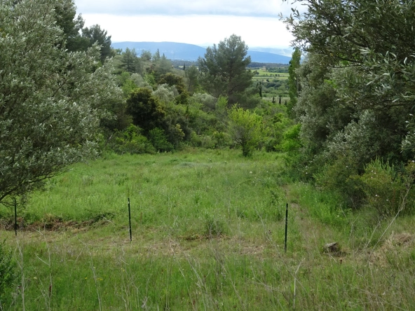 Beau terrain à vendre à Caunes Minervois