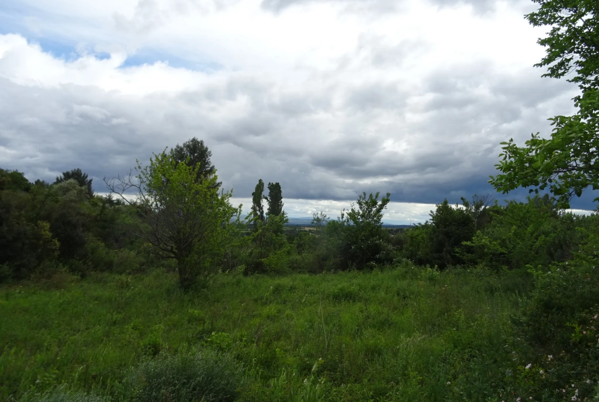 Beau terrain à vendre à Caunes Minervois 