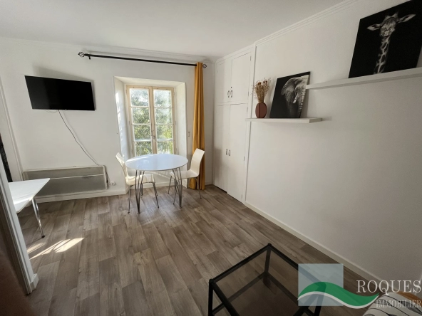 Studio de 22m2 au cœur du centre-ville de Millau