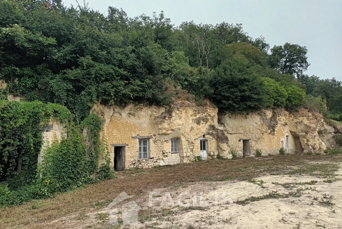 Terrain constructible avec vue panoramique plein sud à Chinon 